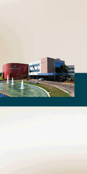 PI 25204384 ALMT BALANÇO 2025 de 10 a 26 fevereiro 2026 Banner LATERAL 300X600px