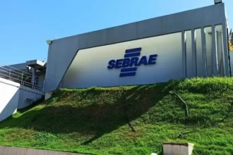 Sebrae/MT abre processo seletivo para analista técnico em Cuiabá; salário é de quase R$ 7,2 mil