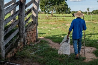 Governo de MT reforça apoio à agricultura familiar com mais de R$ 700 milhões de investimentos