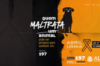 Campanha da ALMT para conscientizar sobre abuso contra animais é destaque em site internacional