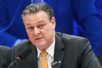 Gripe aviária não deve impactar preço da carne de frango, diz ministro