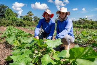 Governo de MT investiu R$ 720 milhões na agricultura familiar