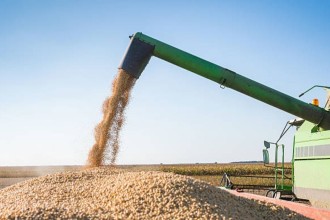 Agropecuária impulsiona crescimento do PIB brasileiro em 2025