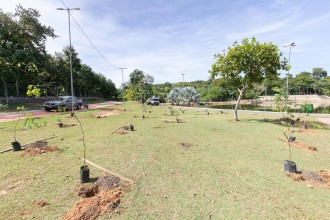 Parque das Águas recebe 200 mudas de espécies nativas