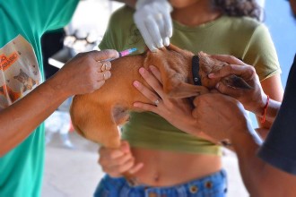 Vacinação volante contra a raiva leva proteção aos bairros de Várzea Grande