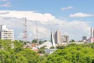 Plano Diretor de Arborização Urbana precisa sair do papel em três meses