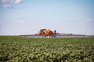 Mato Grosso puxa alta na estimativa de produção agrícola e consolida liderança nacional