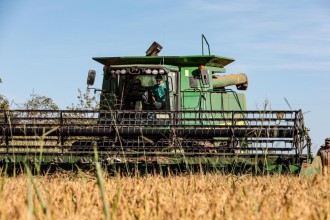 Mato Grosso lidera produção nacional de arroz de sequeiro, aponta Anuário Brasileiro do Arroz 2025