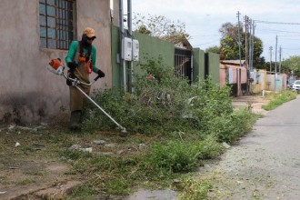Secretaria de Serviços Públicos chega a quase 40 bairros nesta terça-feira (2)