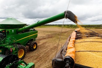 Mato Grosso tem safra recorde e colhe 111,9 milhões de toneladas de grãos em 202425