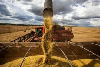 Mato Grosso amplia área produtiva e produtividade e chega a 111,9 milhões de toneladas de grãos na safra 2425