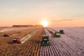Agroindústria abre nova frente de expansão em MT e impulsiona PIB acima da média nacional