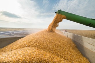 Governo do Brasil projeta novo recorde e safra de 354,7 milhões de toneladas de grãos em 202526