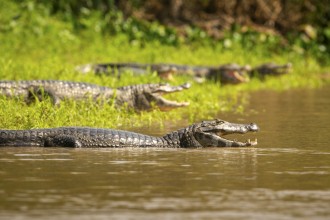 Feirão Fit Turismo oferece descontos de até 20% em viagens por Mato Grosso