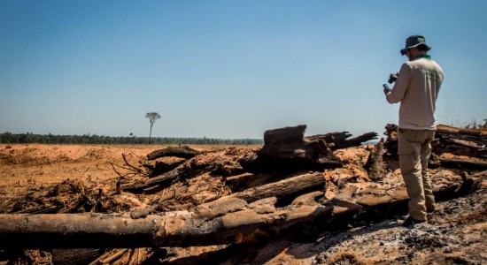 Mato Grosso aplicou R$ 1,2 bilhão em multa por crimes ambientais em 2022