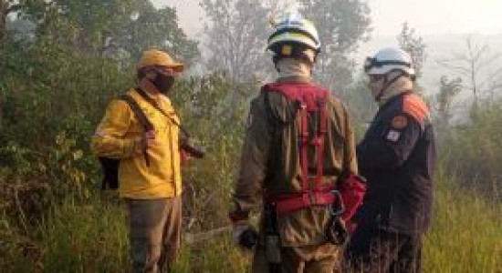 Sorp reforça fiscalização em terrenos baldios e queimadas apresentam redução de 53%