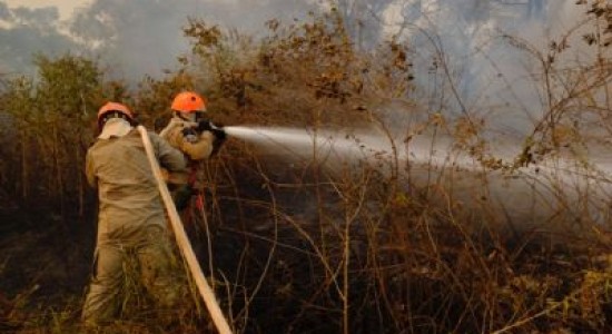 MT tem 30 dias para apresentar ao STF o plano de prevenção de queimadas no Pantanal