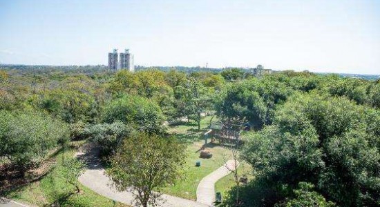 Parque Mãe Bonifácia possui novo Mirante e trilhas para caminhada; veja regras para utilização