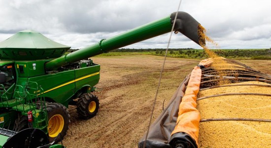 Safra de grãos em MT será a maior da história e com maior produtividade média da soja