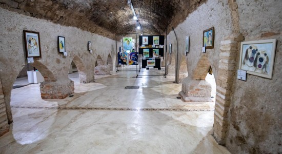 Aquário e Museu da Caixa D’Água Velha abrem nesta segunda-feira(21).