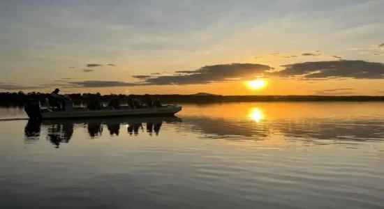 SebraeMT oferece bolsas para desenvolver pequenos negócios no Pantanal e Cerrado