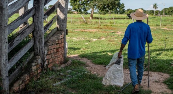 Governo de MT reforça apoio à agricultura familiar com mais de R$ 700 milhões de investimentos
