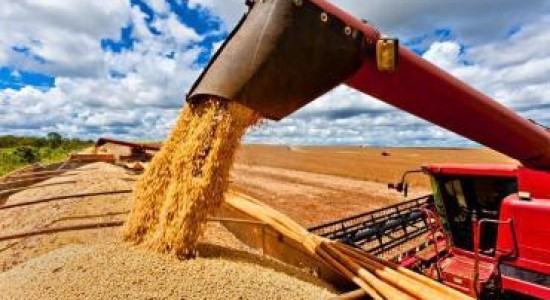 Mato Grosso terá economia aquecida em 2025, enquanto 22 estados desaceleram