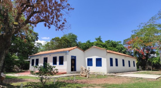 Secel seleciona organização para gestão compartilhada do Museu de História Natural