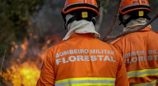 Uso do fogo em área do Pantanal está proibido a partir deste domingo (1º)