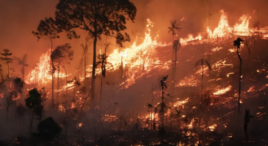 Amazônia tem pior agosto de queimadas dos últimos 12 anos