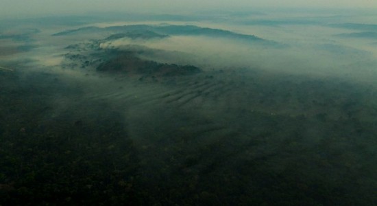 Fogo atinge Parque Cristalino há um mês, aponta observatório