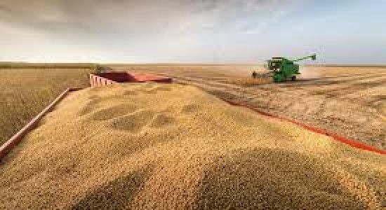 Agronegócio representa 25% do PIB e já alimenta 11% da população mundial