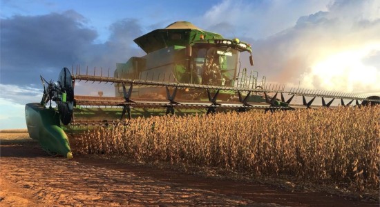 Na iminência do tarifaço, MT surge como 2º estado menos impactado no Brasil