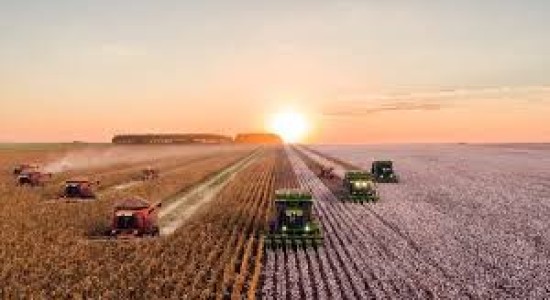 Agroindústria abre nova frente de expansão em MT e impulsiona PIB acima da média nacional