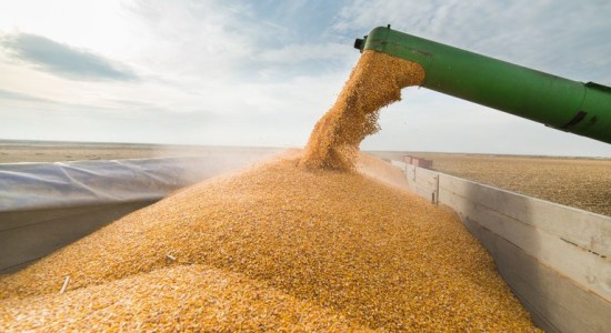 Governo do Brasil projeta novo recorde e safra de 354,7 milhões de toneladas de grãos em 202526