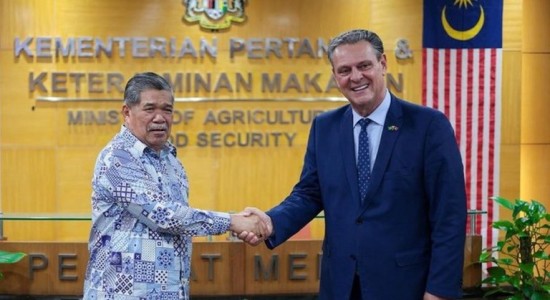 Brasil retoma exportações de carne de frango para a Malásia e conquista seis novos mercados