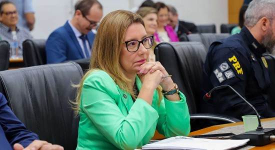Prefeita apresenta projetos à bancada federal em reunião; investimentos chegam a R$ 200 milhões