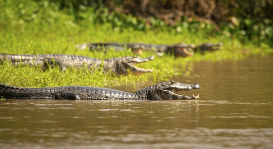Feirão Fit Turismo oferece descontos de até 20% em viagens por Mato Grosso