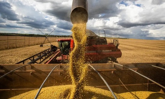 Mato Grosso amplia área produtiva e produtividade e chega a 111,9 milhões de toneladas de grãos na safra 2425