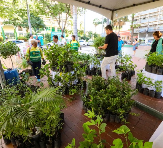 Projeto de doação de mudas frutíferas é um sucesso e será desenvolvido em outras regiões da cidade ao longo do mês