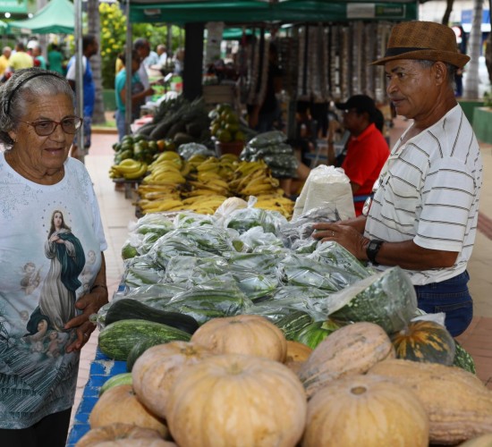 Praça Alencastro recebe 3ª edição da Feira de Produtores de Pequenas Propriedades e Agricultura Familiar nesta quarta-feira (5)