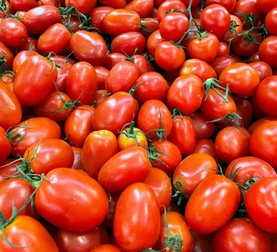 Preço do tomate quase dobra em 1 ano