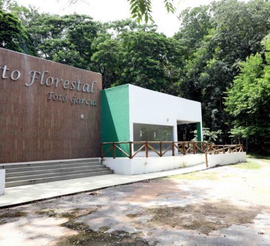 Horto Florestal contabiliza mais de duas mil visitas escolares no primeiro semestre 2022