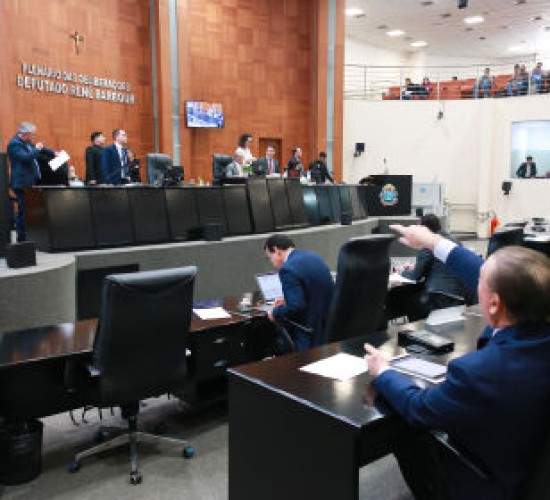 Deputados garantem a possibilidade de servidor público ser microempreendedor individual