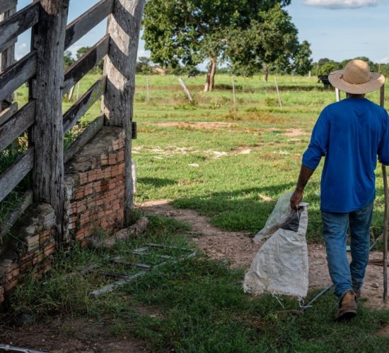 Governo de MT reforça apoio à agricultura familiar com mais de R$ 700 milhões de investimentos