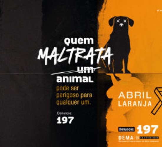 Campanha da ALMT para conscientizar sobre abuso contra animais é destaque em site internacional