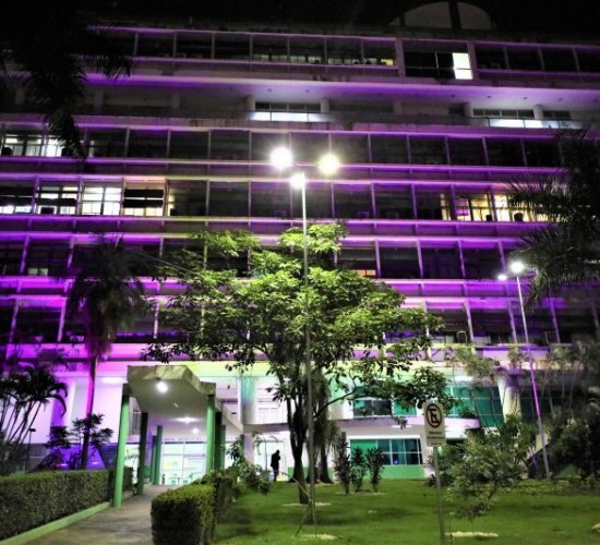 Palácio Alencastro fica lilás em prol da campanha de combate à violência contra a mulher