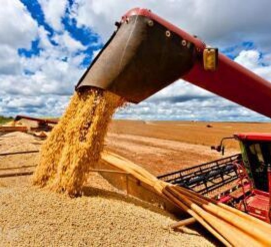 Mato Grosso terá economia aquecida em 2025, enquanto 22 estados desaceleram