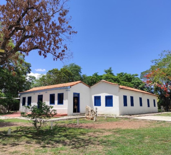 Secel seleciona organização para gestão compartilhada do Museu de História Natural