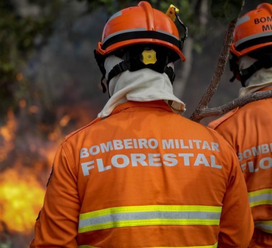 Uso do fogo em área do Pantanal está proibido a partir deste domingo (1º)
